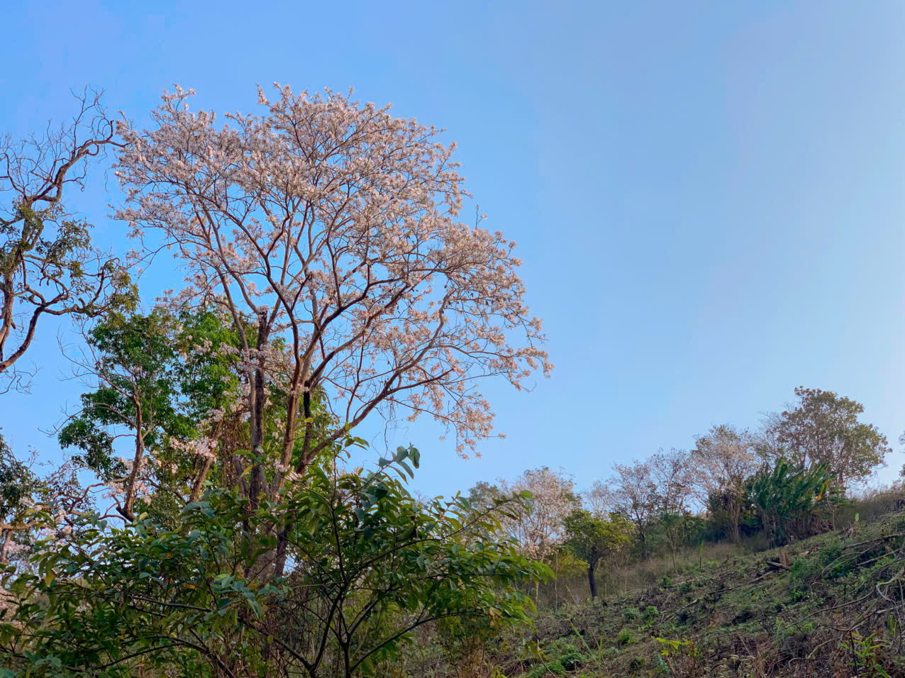 z7590213556927 181c883ecab379e0b58a9c8e9d605958